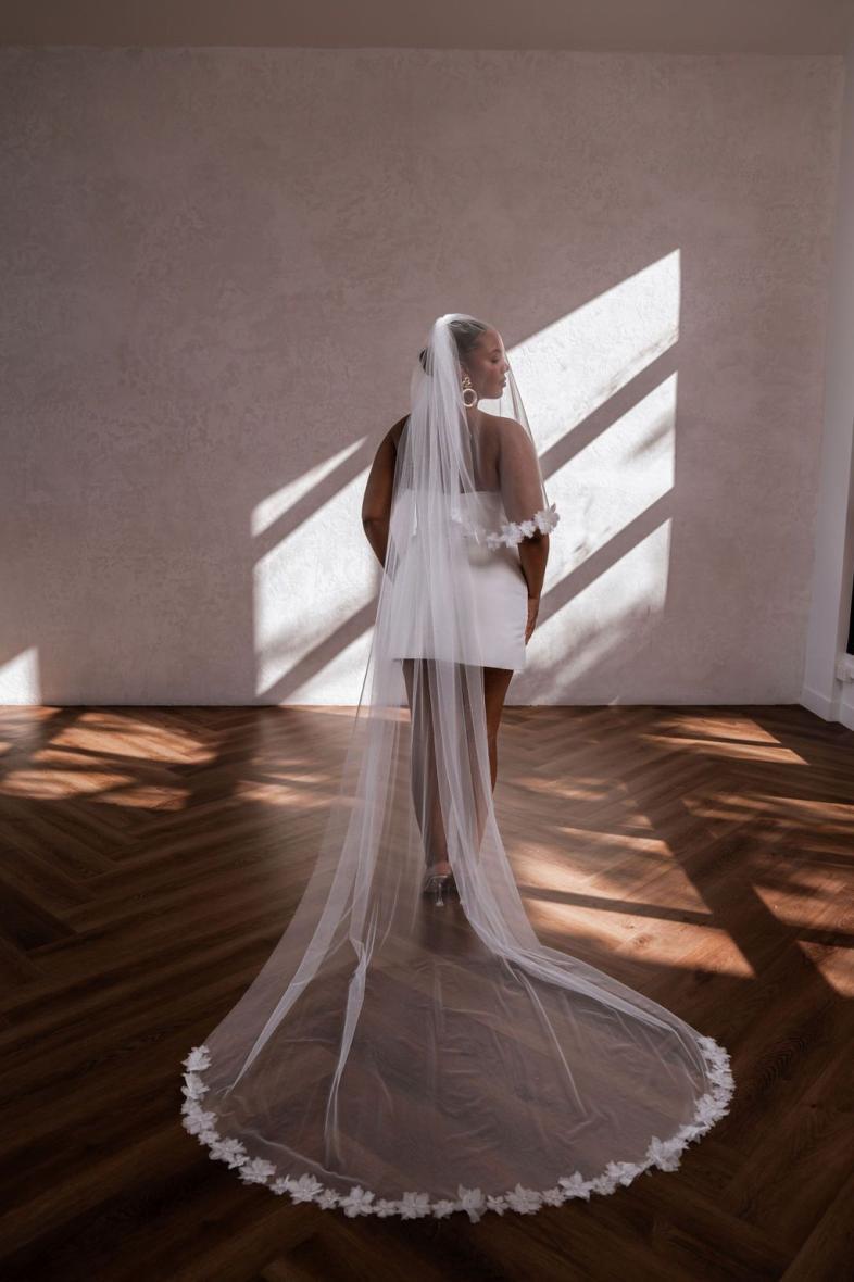 Fay Veil