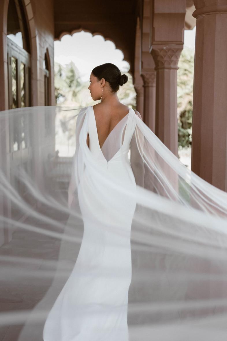 Detachable Tulle Wings